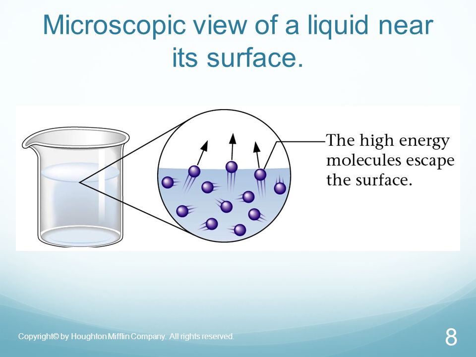 Microscopic view of a liquid near its surface. Copyright© by Houghton Mifflin Company.
