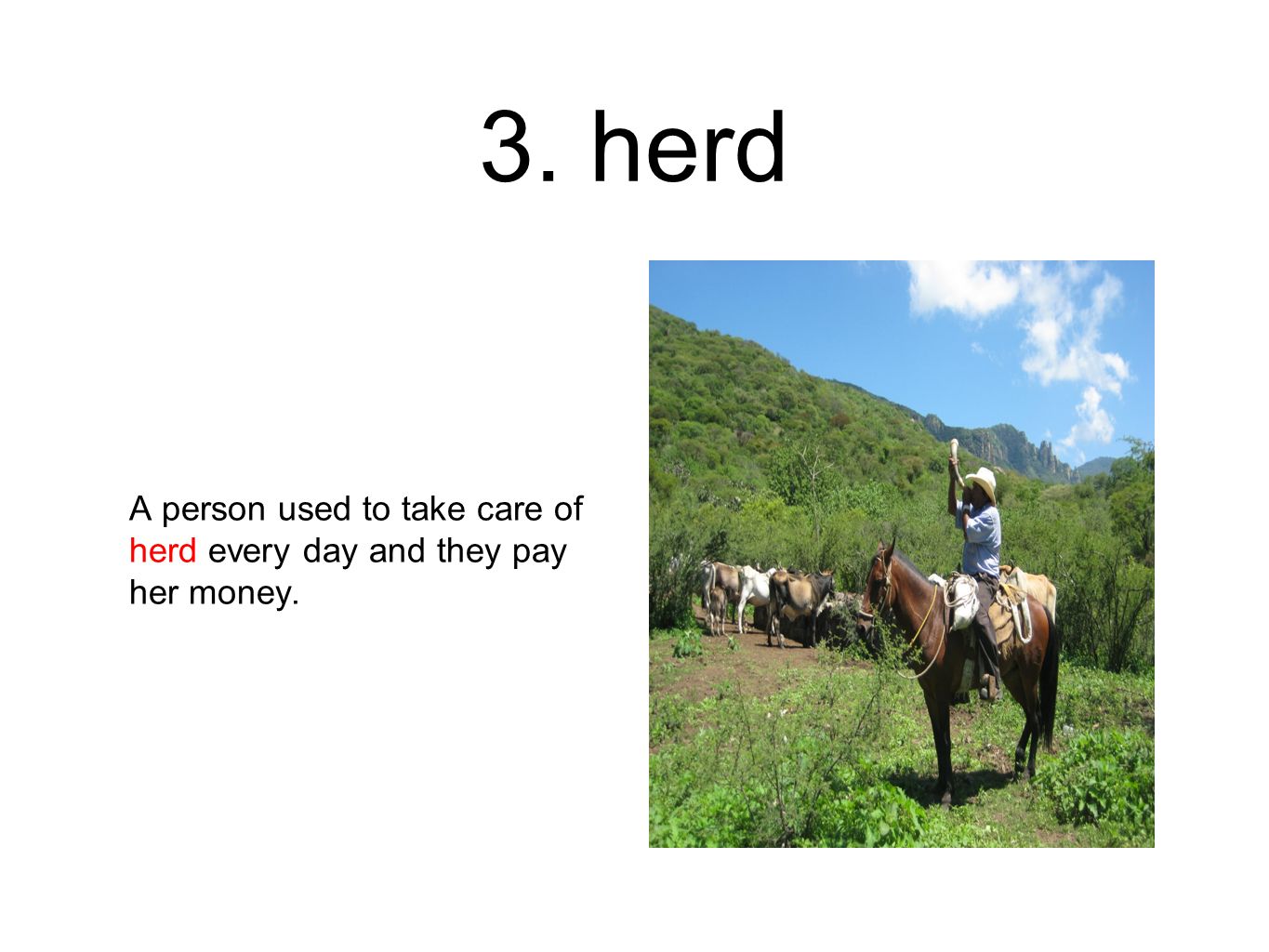 3. herd A person used to take care of herd every day and they pay her money.