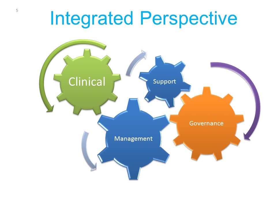 NON-INTEGRATED PERSPECTIVE 4 Mgmt Governance Clinical Support