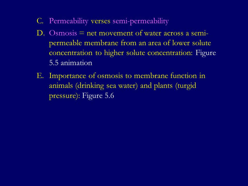 C.Permeability verses semi-permeability D.Osmosis = net movement of water across a semi- permeable membrane from an area of lower solute concentration to higher solute concentration: Figure 5.5 animation E.Importance of osmosis to membrane function in animals (drinking sea water) and plants (turgid pressure): Figure 5.6