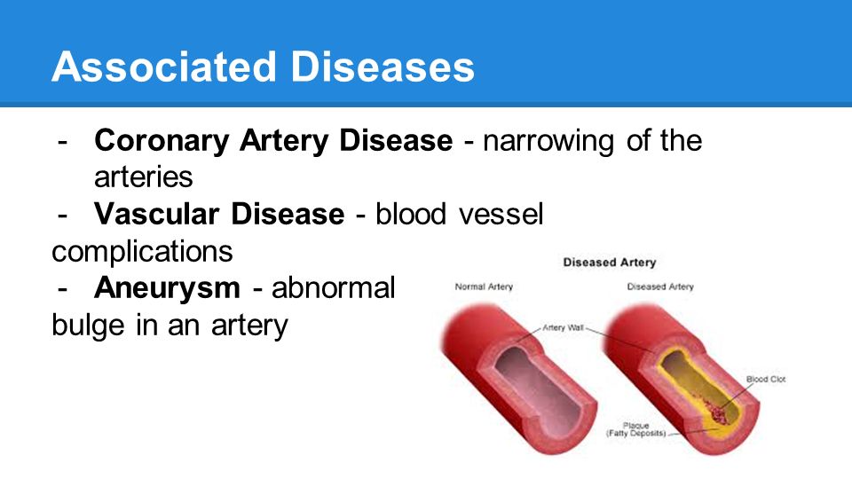 Cardiovascular System By: Kaesha, Savannah, and Kenady. - ppt download