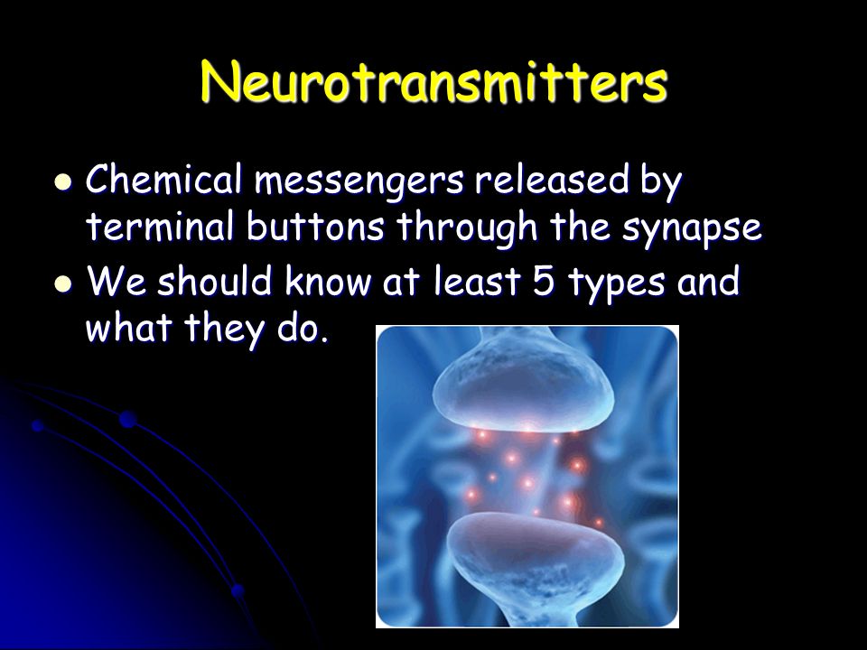 Neurotransmitters Chemical messengers released by terminal buttons through the synapse Chemical messengers released by terminal buttons through the synapse We should know at least 5 types and what they do.