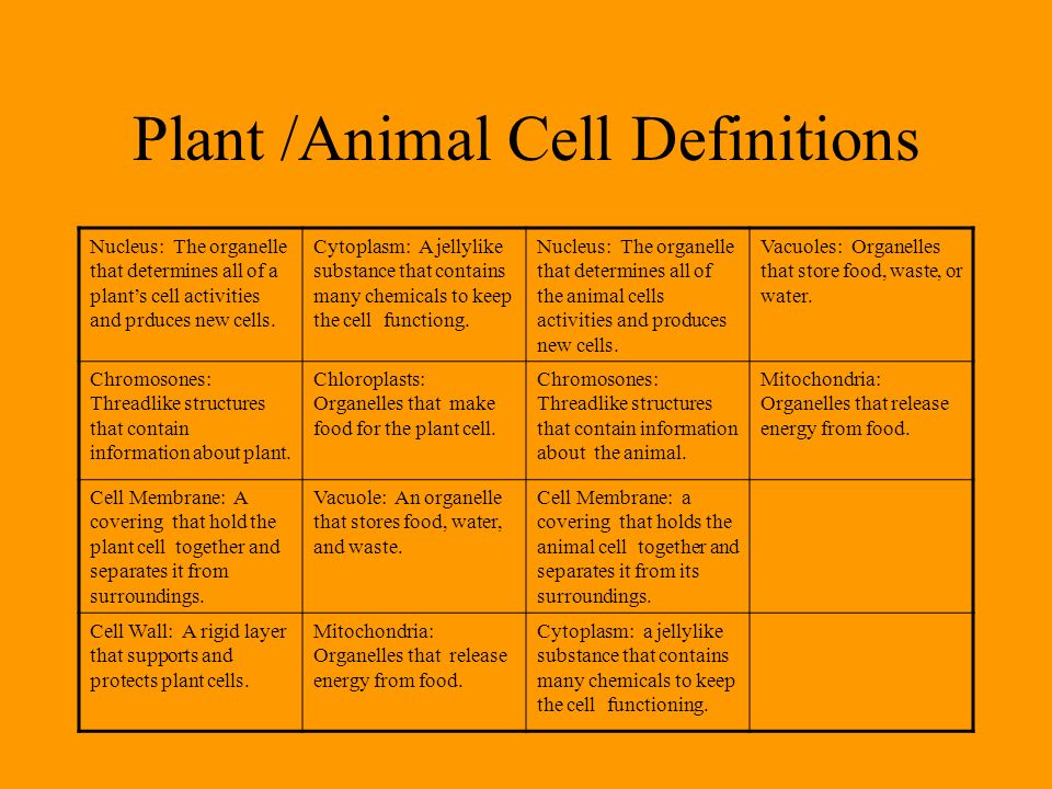 Cells Simple organisms such as bacteria, are single cell. Plants and animals  are made up of many cells. Each kind of cell has a particular function. -  ppt download