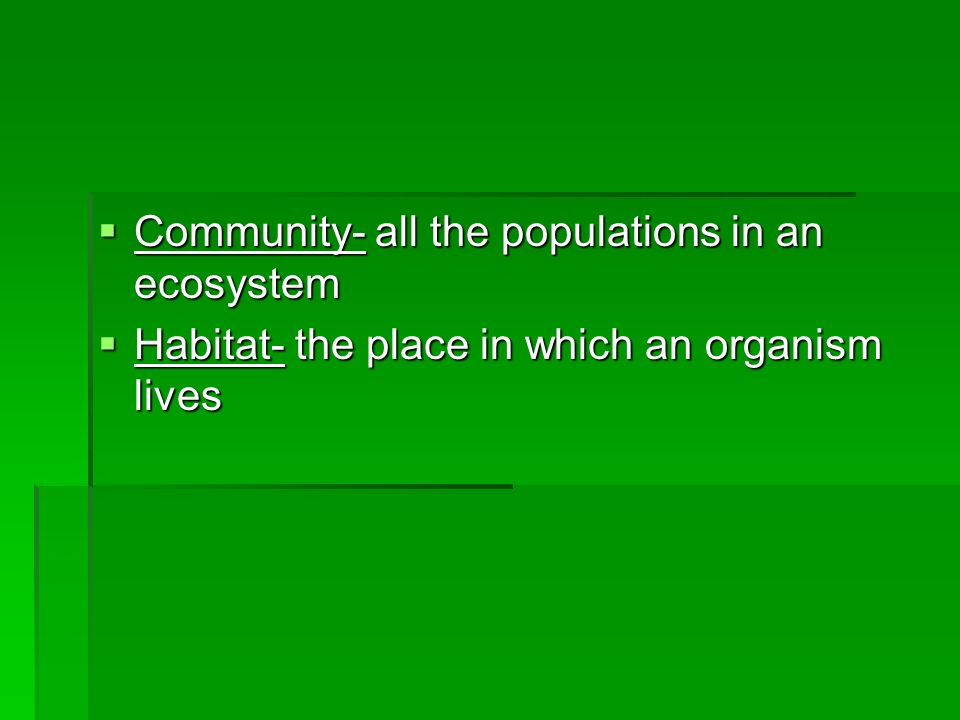  Community- all the populations in an ecosystem  Habitat- the place in which an organism lives