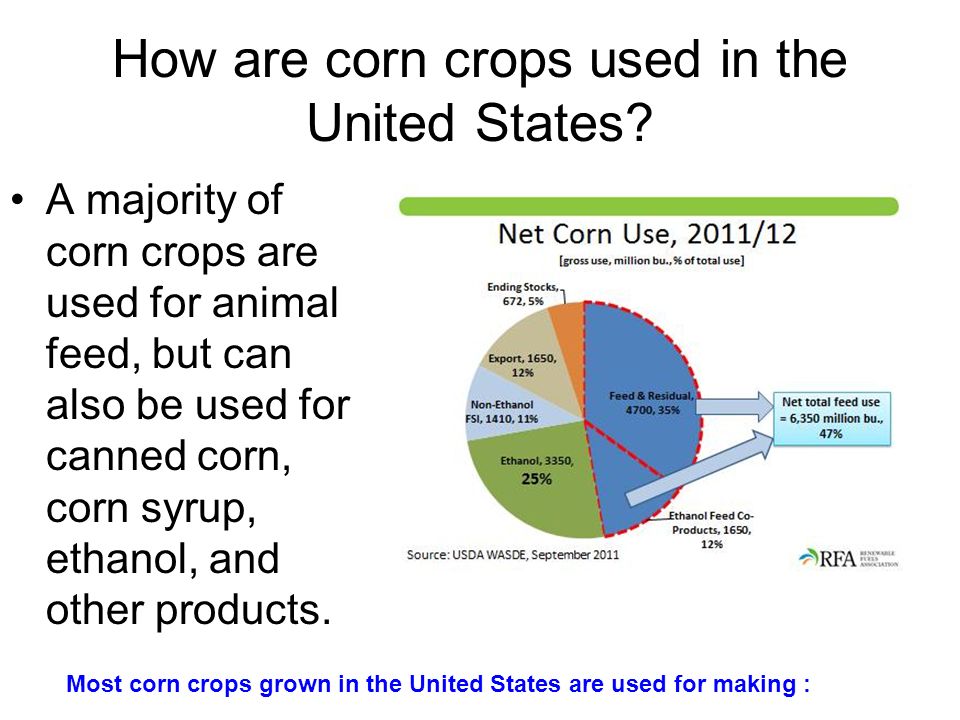 Lesson 5: Agriculture and Transportation. How are corn crops used in the  United States? A majority of corn crops are used for animal feed, but can  also. - ppt download