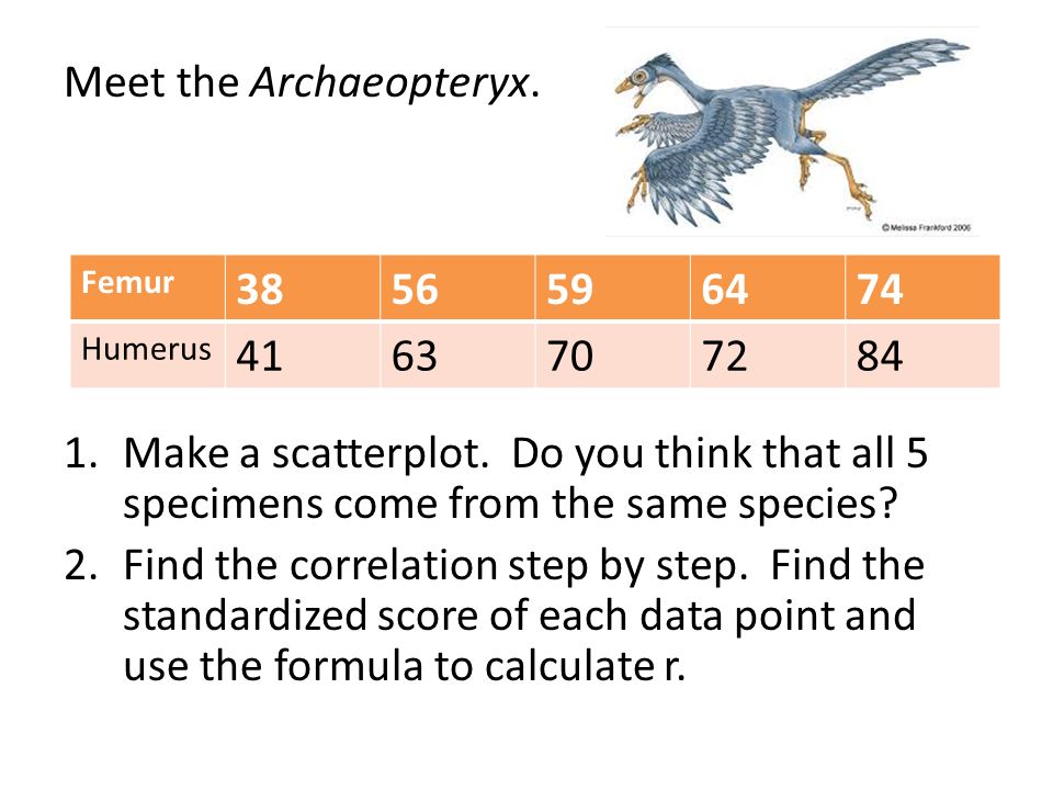 Meet the Archaeopteryx. 1.Make a scatterplot.