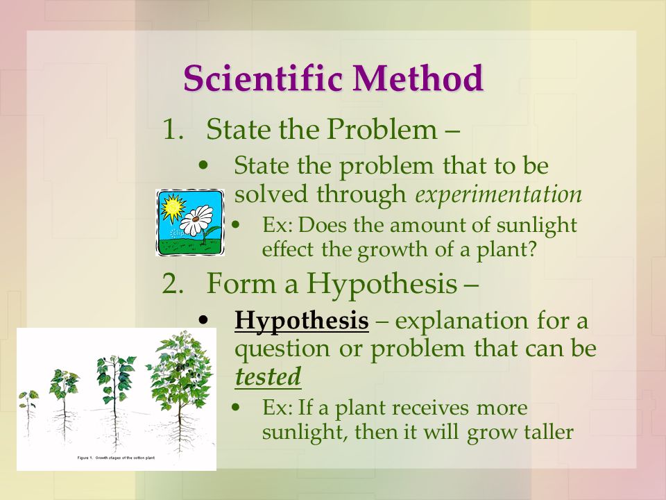 Scientific Method 1.State the Problem – State the problem that to be solved through experimentation Ex: Does the amount of sunlight effect the growth of a plant.