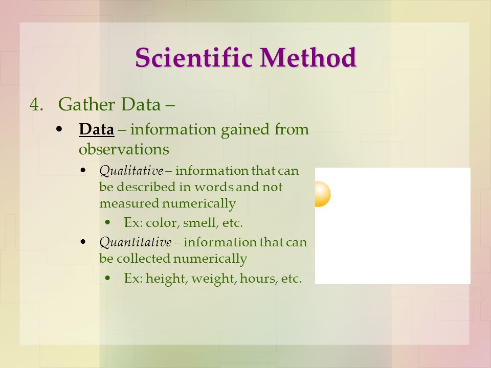 Scientific Method 4.Gather Data – Data – information gained from observations Qualitative – information that can be described in words and not measured numerically Ex: color, smell, etc.
