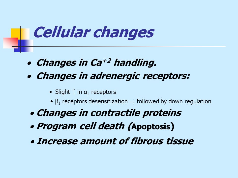 Cellular changes  Changes in Ca +2 handling.