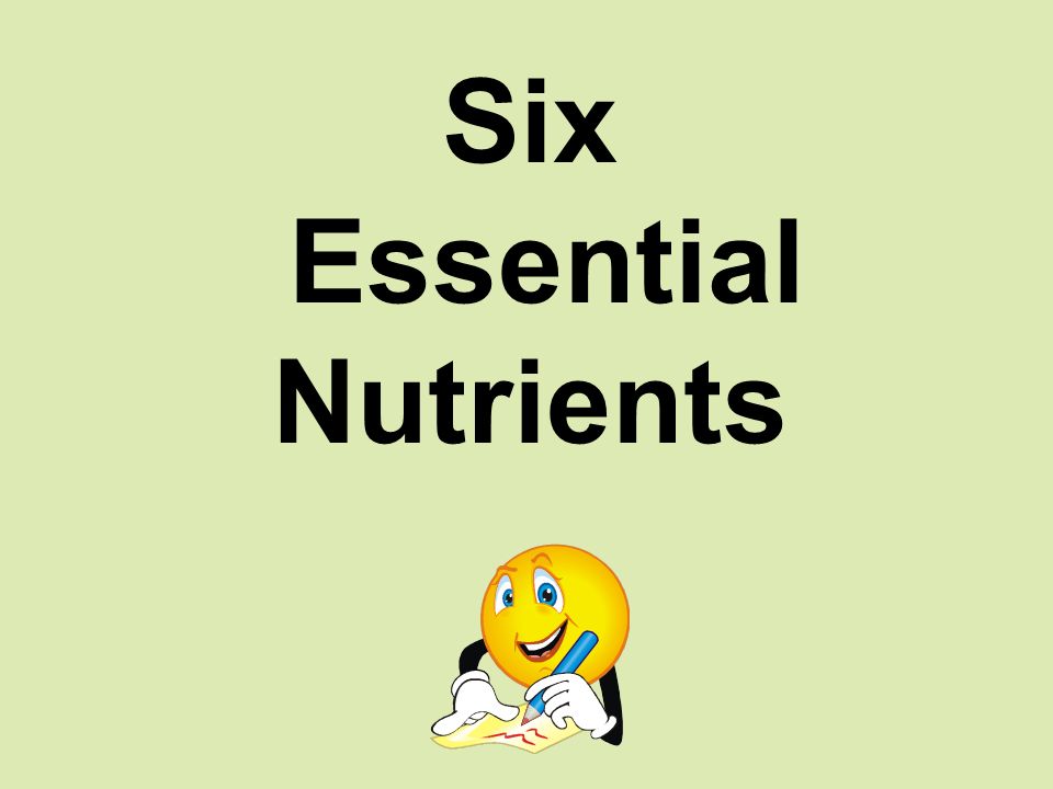 Six Essential Nutrients