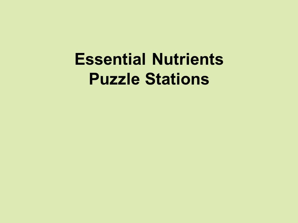 Essential Nutrients Puzzle Stations