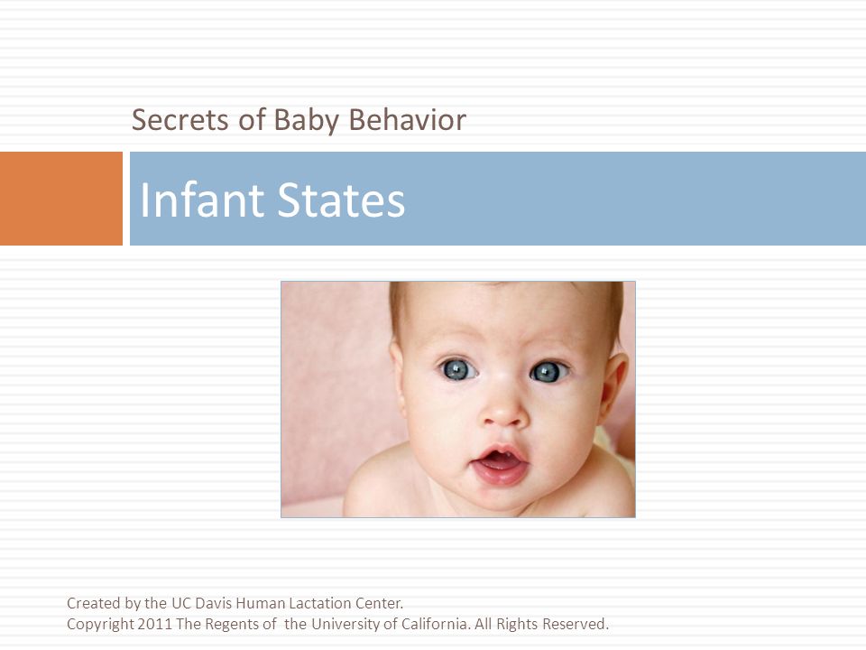 Baby Behavior