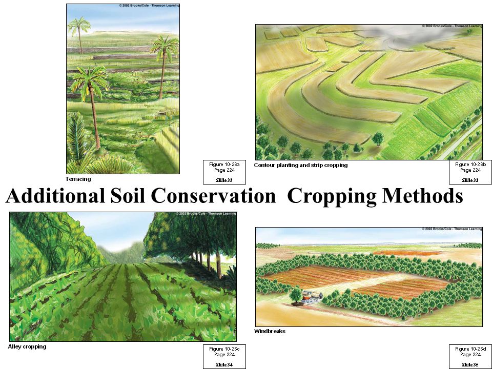 Additional Soil Conservation Cropping Methods