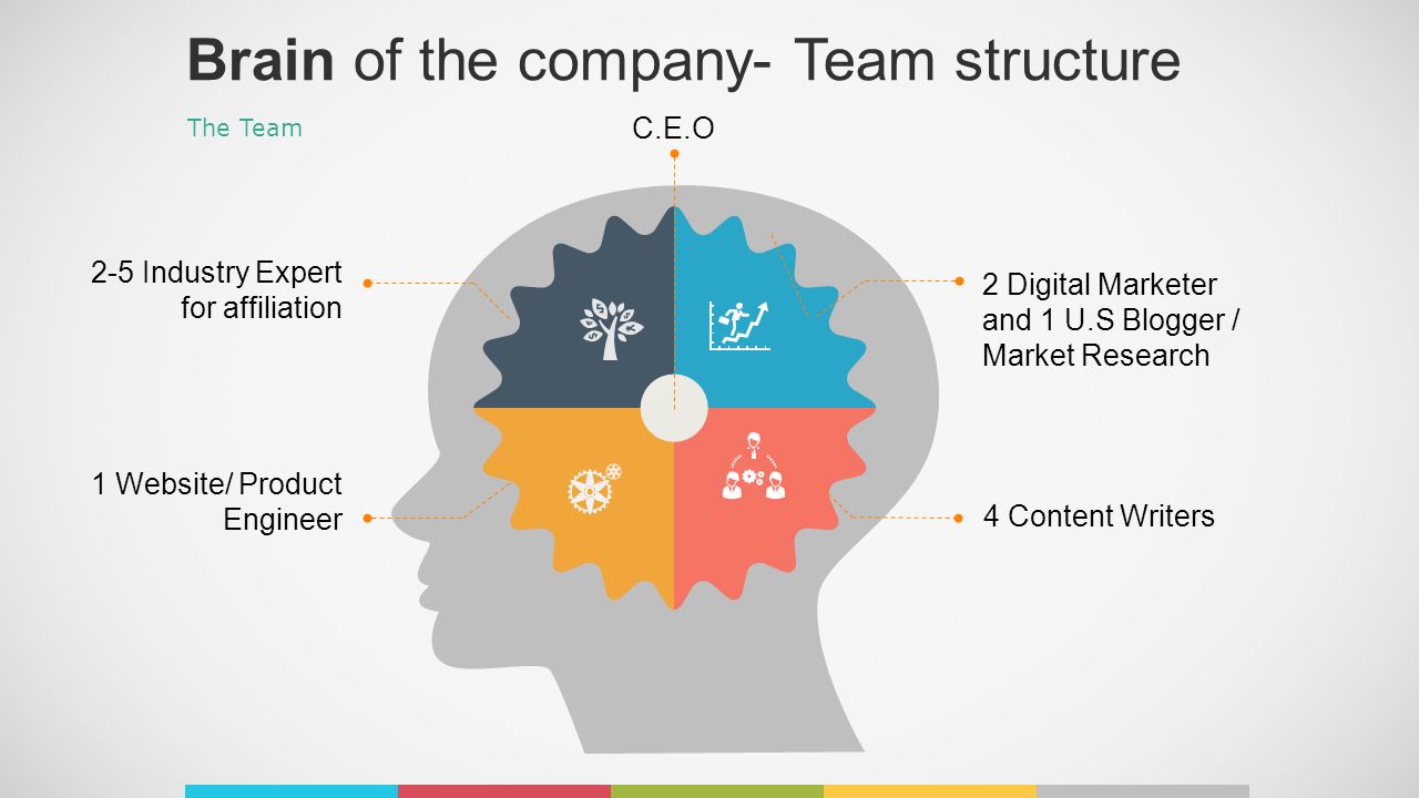 2 Digital Marketer and 1 U.S Blogger / Market Research 4 Content Writers 2-5 Industry Expert for affiliation 1 Website/ Product Engineer The Team Brain of the company- Team structure C.E.O