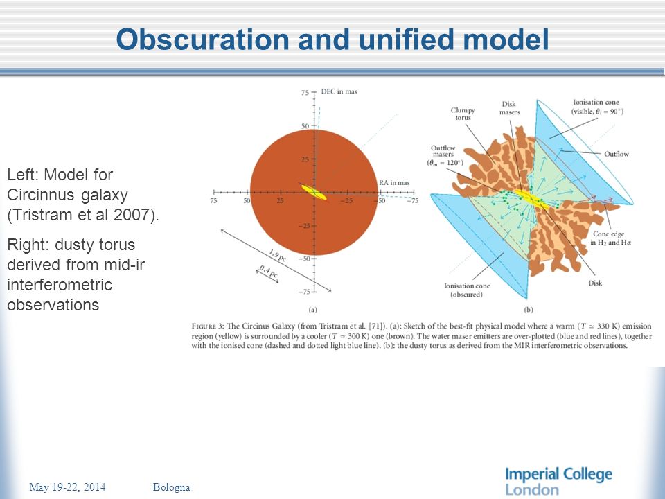 May 19-22, 2014 Bologna Obscuration and unified model Left: Model for Circinnus galaxy (Tristram et al 2007).