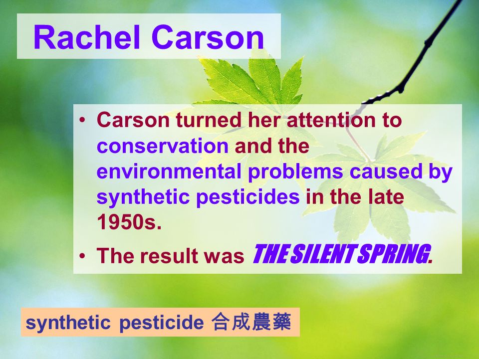 The Silent Spring Rachel Carson. Rachel Louise Carson (May 27, 1907 – April 14, 1964) An American marine biologist and conservationist whose writings. - ppt download