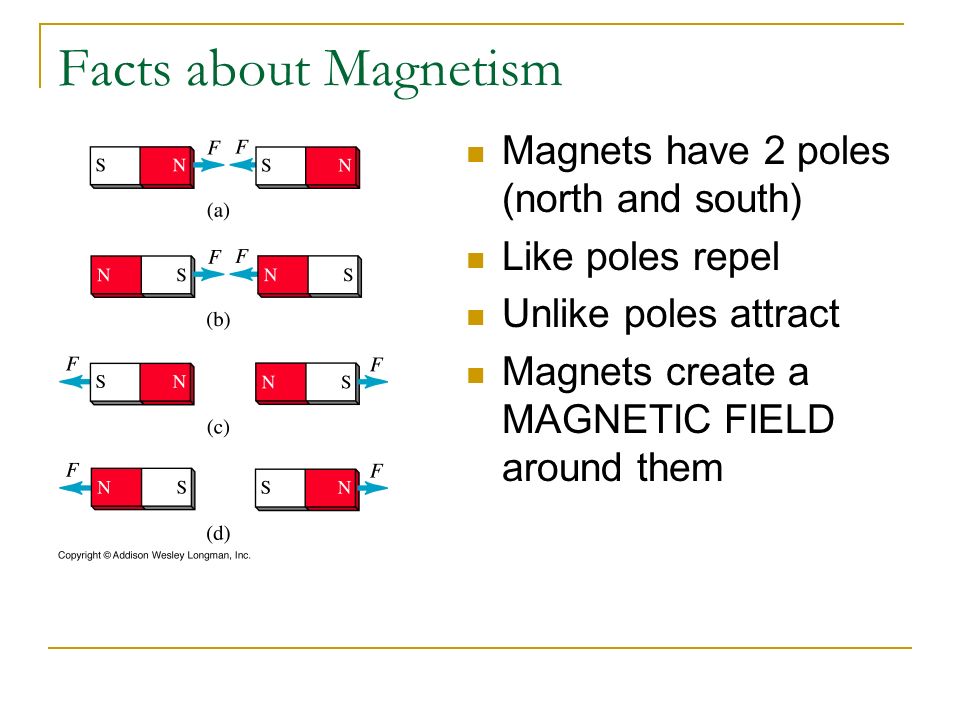 Facts about 2024 forces and magnets