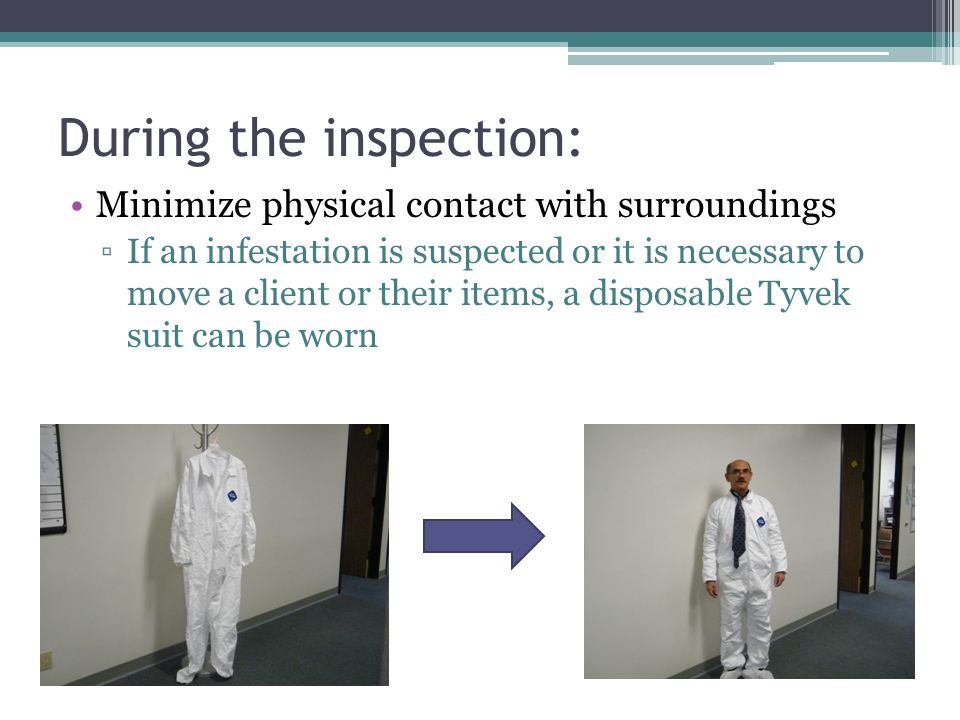 During the inspection: Minimize physical contact with surroundings ▫If an infestation is suspected or it is necessary to move a client or their items, a disposable Tyvek suit can be worn
