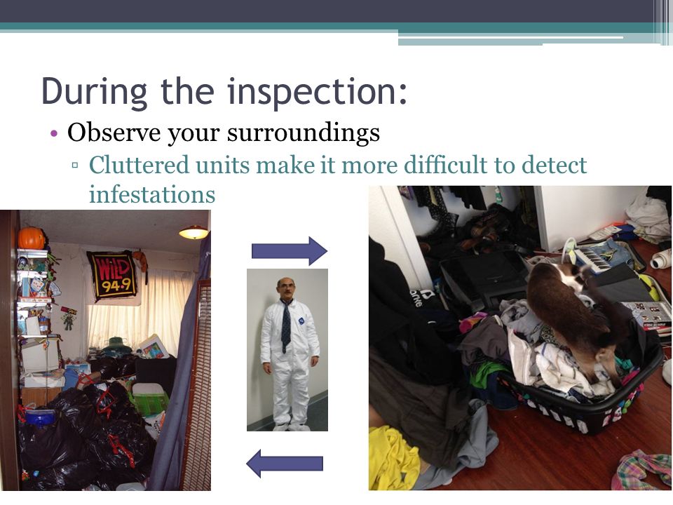 During the inspection: Observe your surroundings ▫Cluttered units make it more difficult to detect infestations