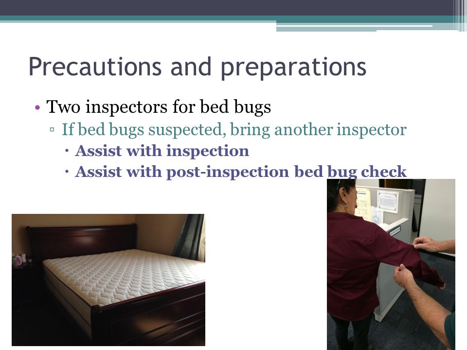 Precautions and preparations Two inspectors for bed bugs ▫If bed bugs suspected, bring another inspector  Assist with inspection  Assist with post-inspection bed bug check