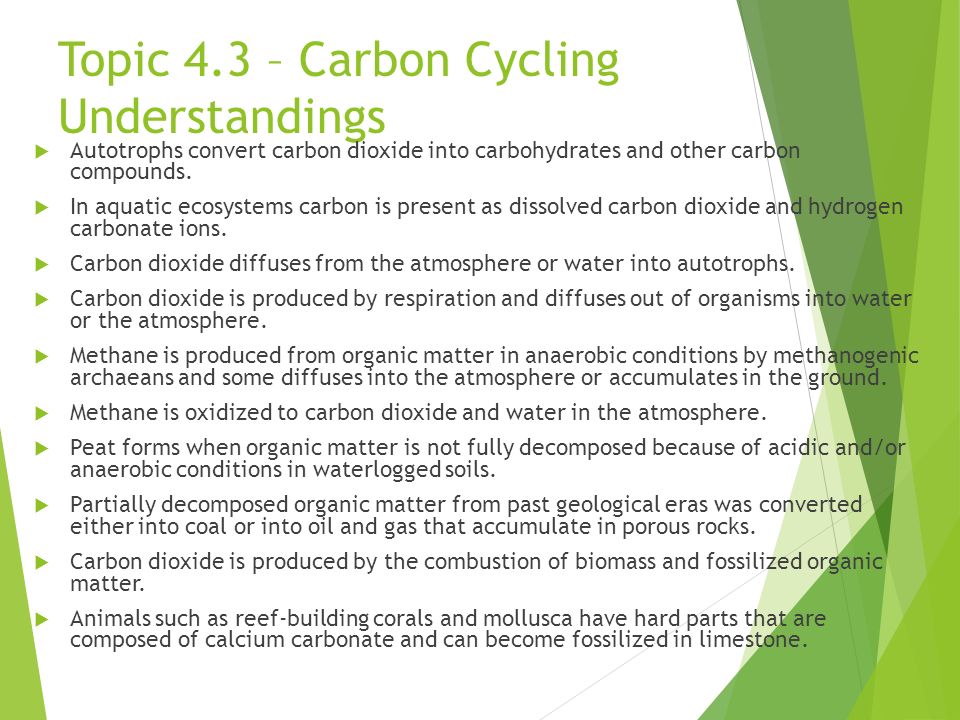 Topic 4.3 – Carbon Cycling Understandings  Autotrophs convert carbon dioxide into carbohydrates and other carbon compounds.