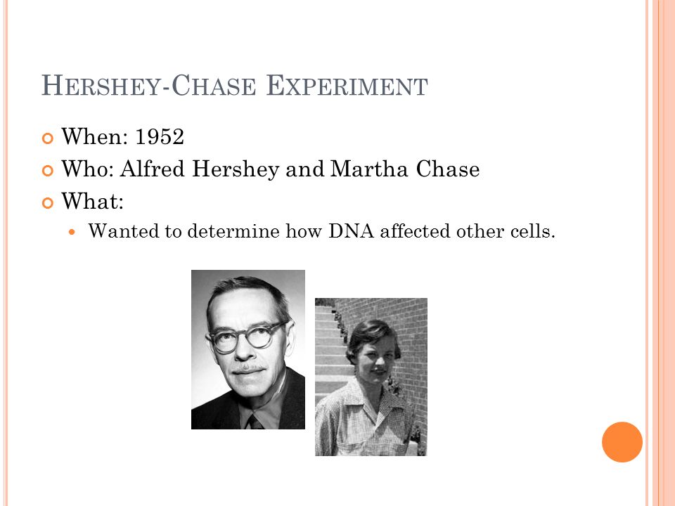 H ERSHEY -C HASE E XPERIMENT When: 1952 Who: Alfred Hershey and Martha Chase What: Wanted to determine how DNA affected other cells.