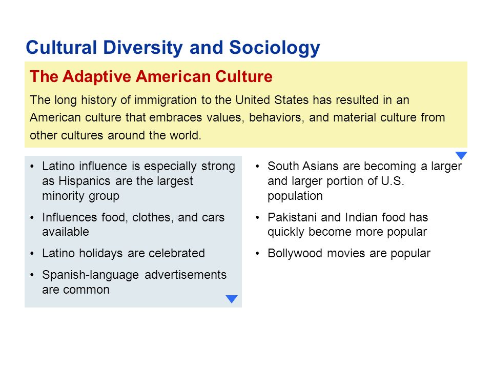The Adaptive American Culture The long history of immigration to the United States has resulted in an American culture that embraces values, behaviors, and material culture from other cultures around the world.