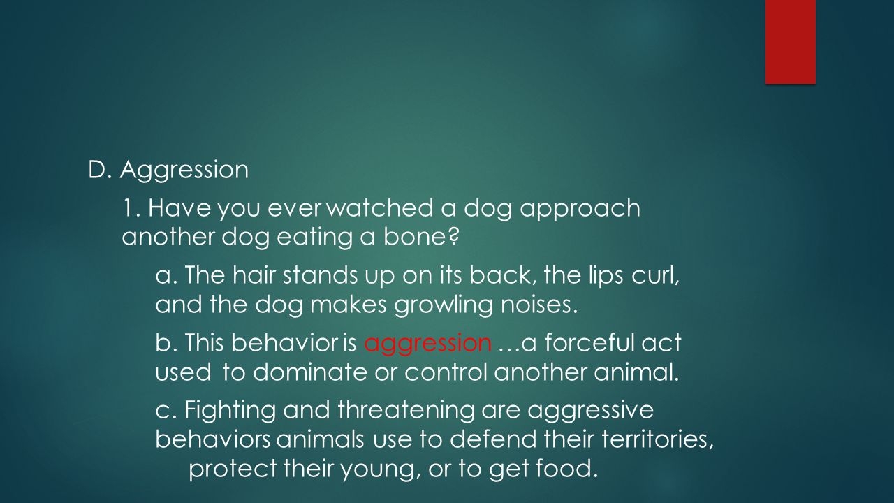D. Aggression 1. Have you ever watched a dog approach another dog eating a bone.