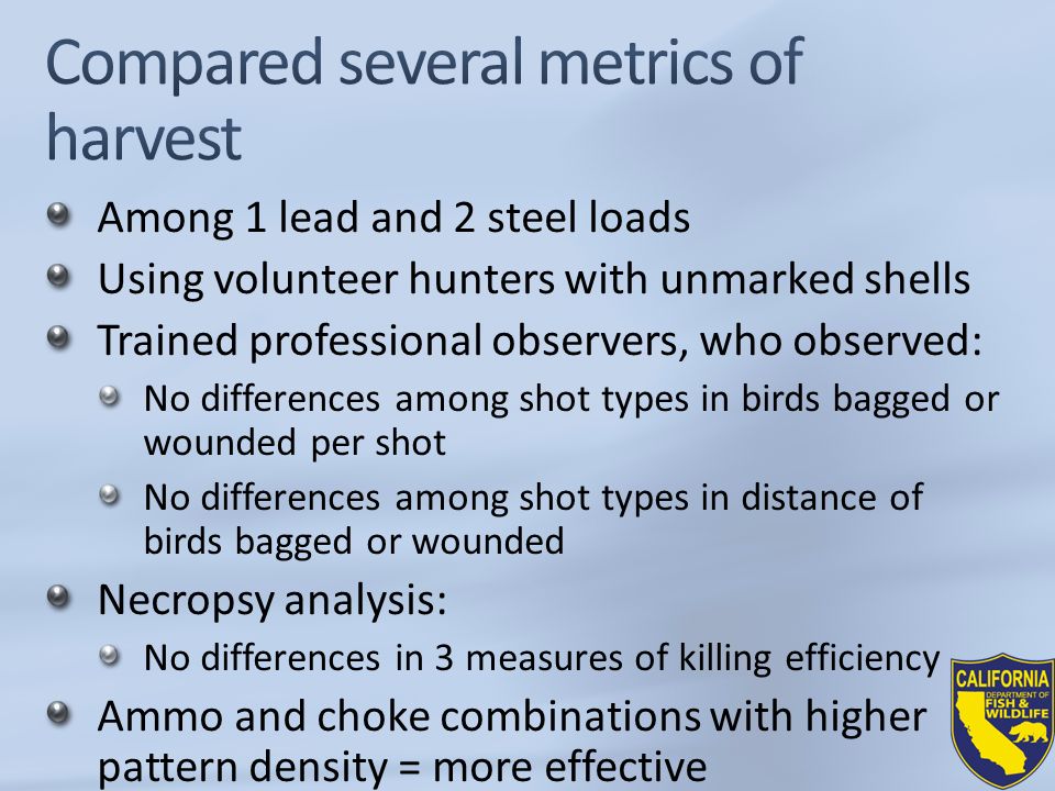 Among 1 lead and 2 steel loads Using volunteer hunters with unmarked shells Trained professional observers, who observed: No differences among shot types in birds bagged or wounded per shot No differences among shot types in distance of birds bagged or wounded Necropsy analysis: No differences in 3 measures of killing efficiency Ammo and choke combinations with higher pattern density = more effective