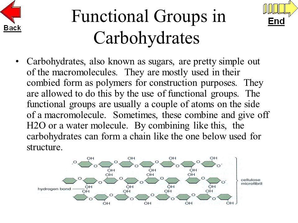 Carbohydrates Lipids Proteins Nucleic Acids Chart