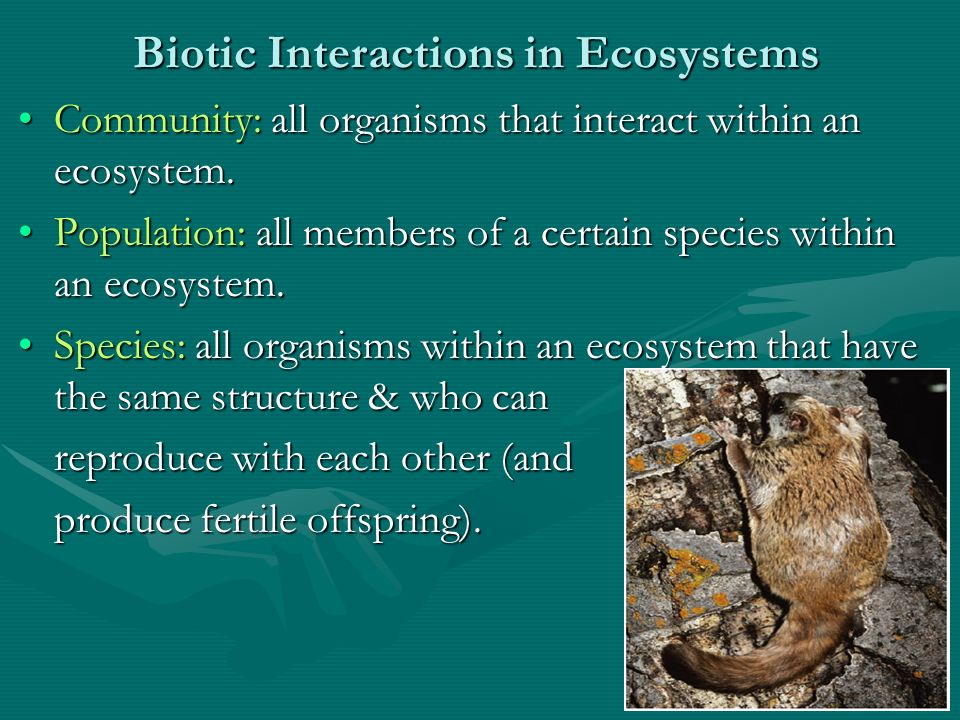 Biotic Interactions in Ecosystems Community: all organisms that interact within an ecosystem.Community: all organisms that interact within an ecosystem.