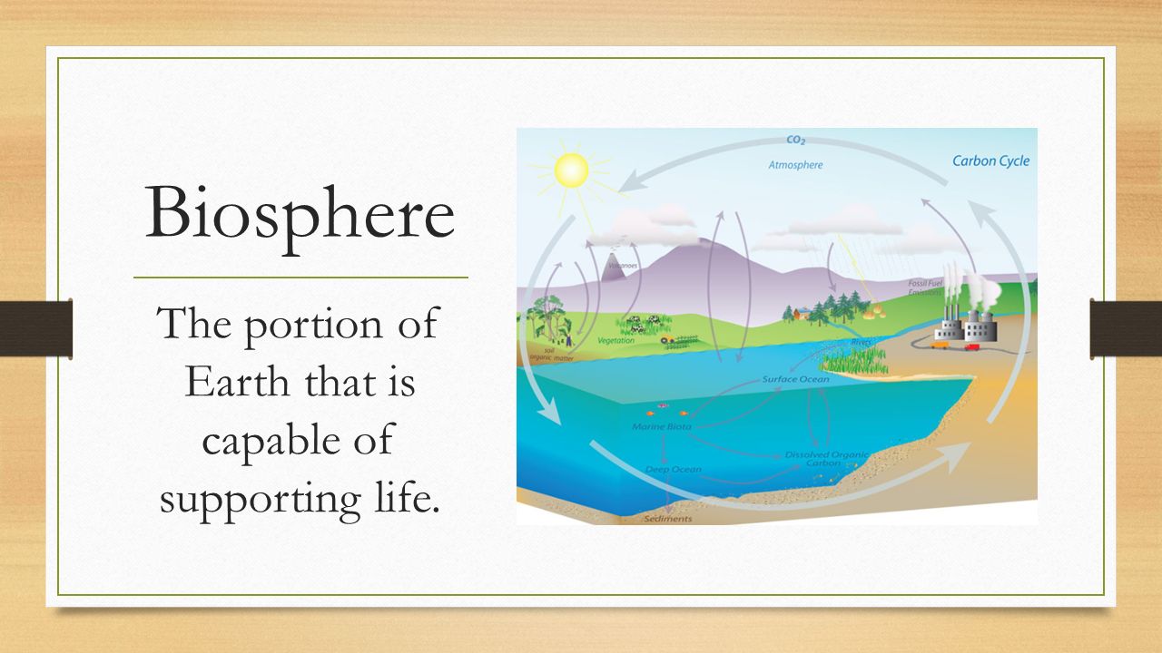 Biosphere The portion of Earth that is capable of supporting life.