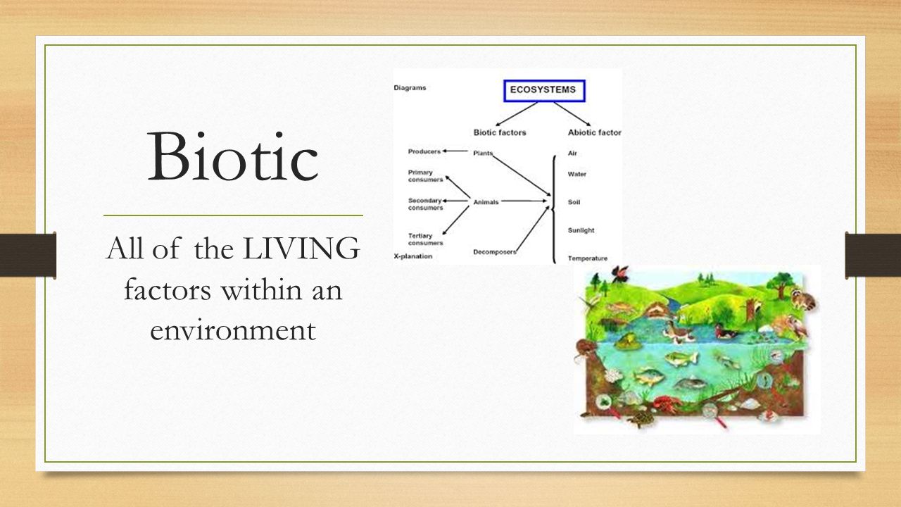 Biotic All of the LIVING factors within an environment