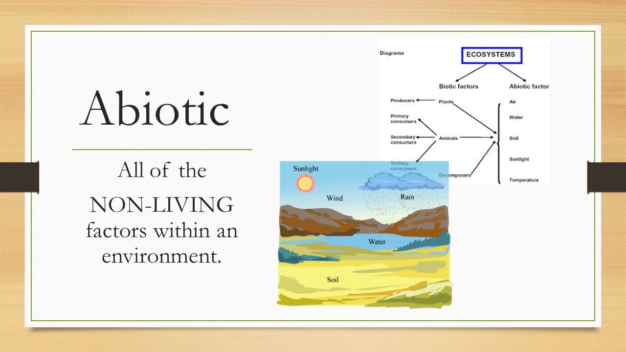 Abiotic All of the NON-LIVING factors within an environment.