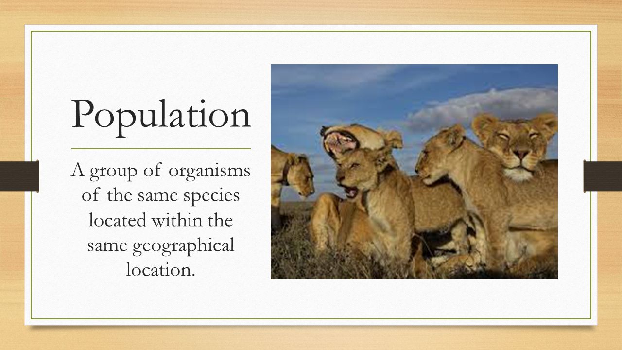 Population A group of organisms of the same species located within the same geographical location.