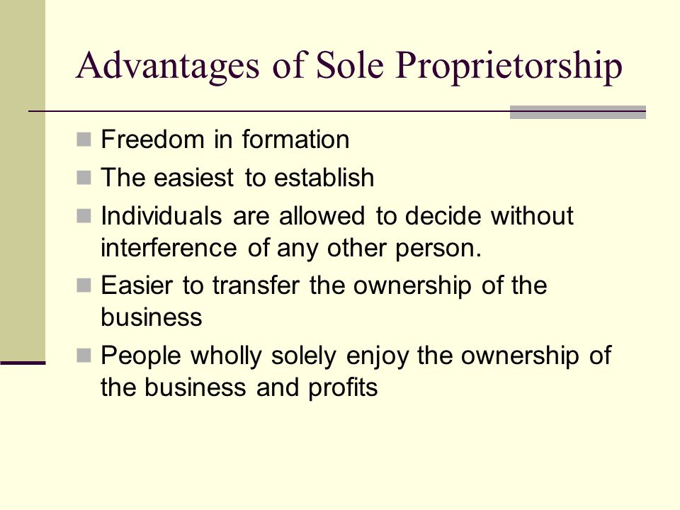introduction of sole proprietorship