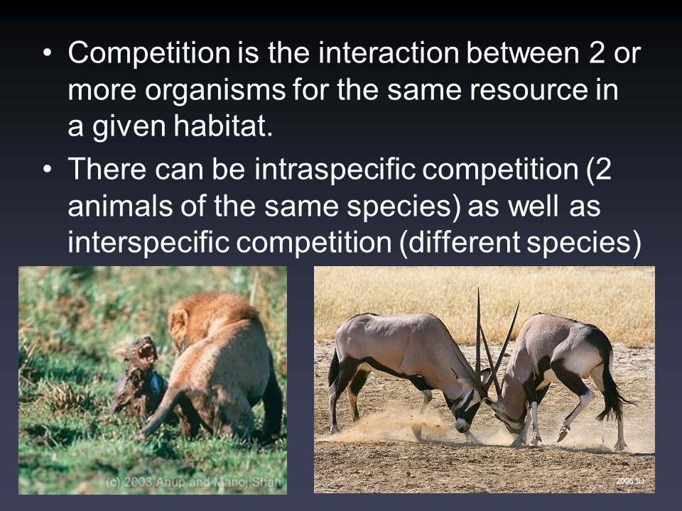 And the Interactions in Ecosystems. The resources in the environment ...