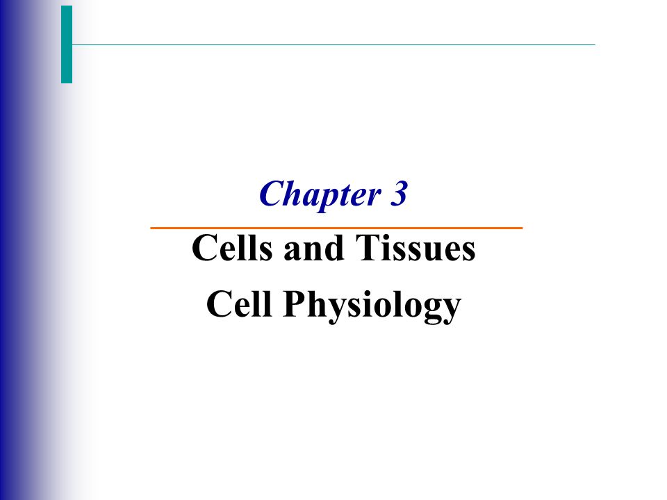 Chapter 3 Cells And Tissues Cell Physiology Membrane