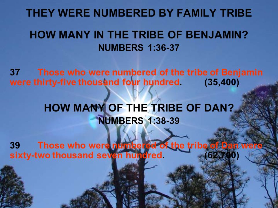 THEY WERE NUMBERED BY FAMILY TRIBE HOW MANY IN THE TRIBE OF BENJAMIN.
