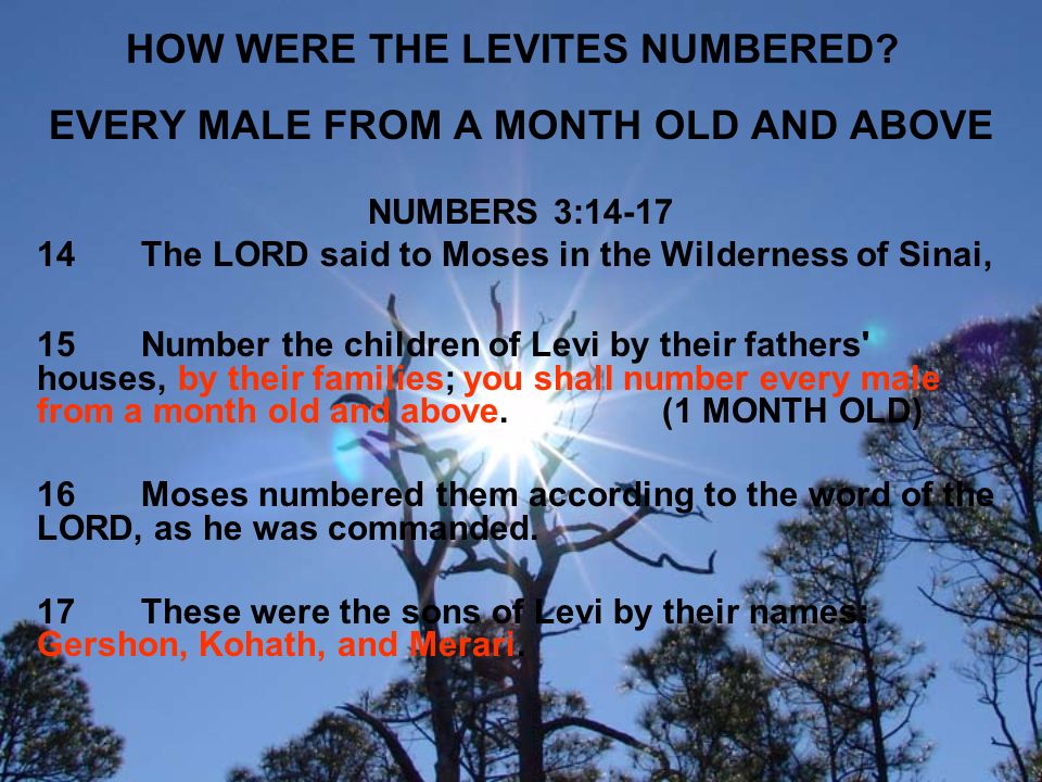 HOW WERE THE LEVITES NUMBERED.