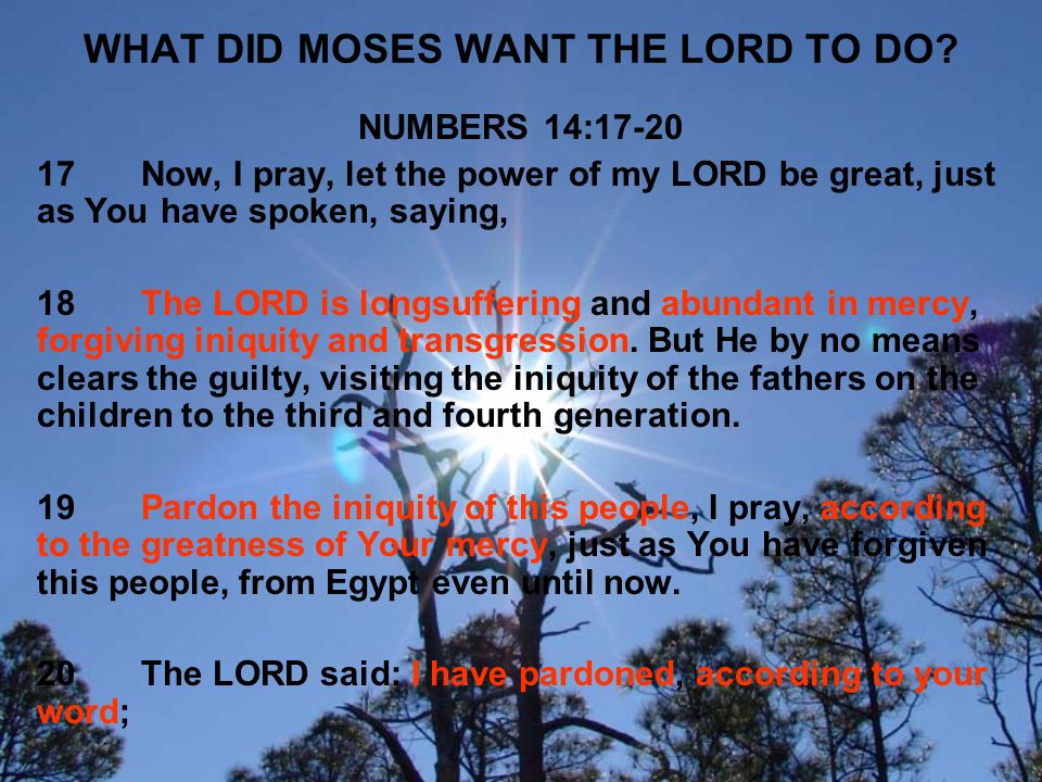 WHAT DID MOSES WANT THE LORD TO DO.