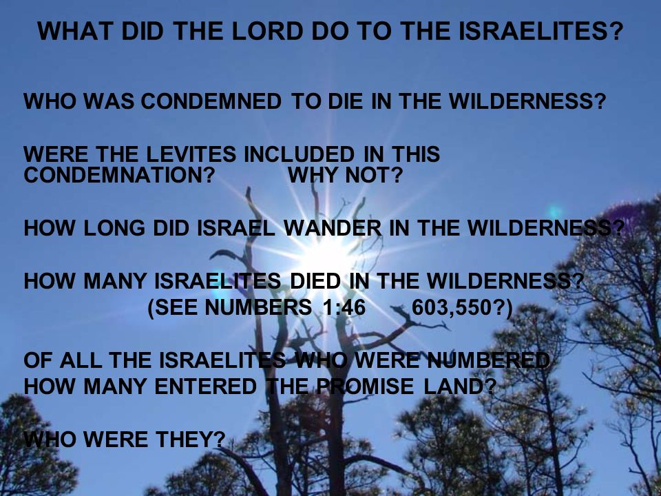 WHAT DID THE LORD DO TO THE ISRAELITES. WHO WAS CONDEMNED TO DIE IN THE WILDERNESS.