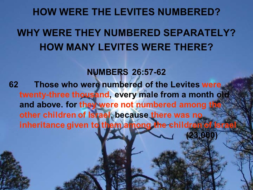HOW WERE THE LEVITES NUMBERED. WHY WERE THEY NUMBERED SEPARATELY.