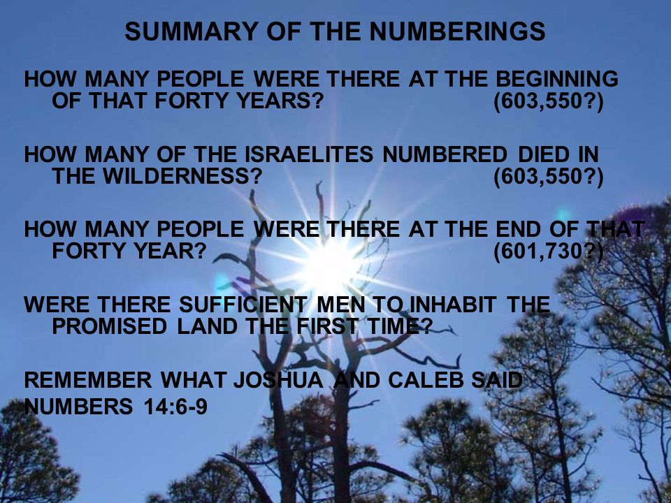SUMMARY OF THE NUMBERINGS HOW MANY PEOPLE WERE THERE AT THE BEGINNING OF THAT FORTY YEARS (603,550 ) HOW MANY OF THE ISRAELITES NUMBERED DIED IN THE WILDERNESS (603,550 ) HOW MANY PEOPLE WERE THERE AT THE END OF THAT FORTY YEAR (601,730 ) WERE THERE SUFFICIENT MEN TO INHABIT THE PROMISED LAND THE FIRST TIME.