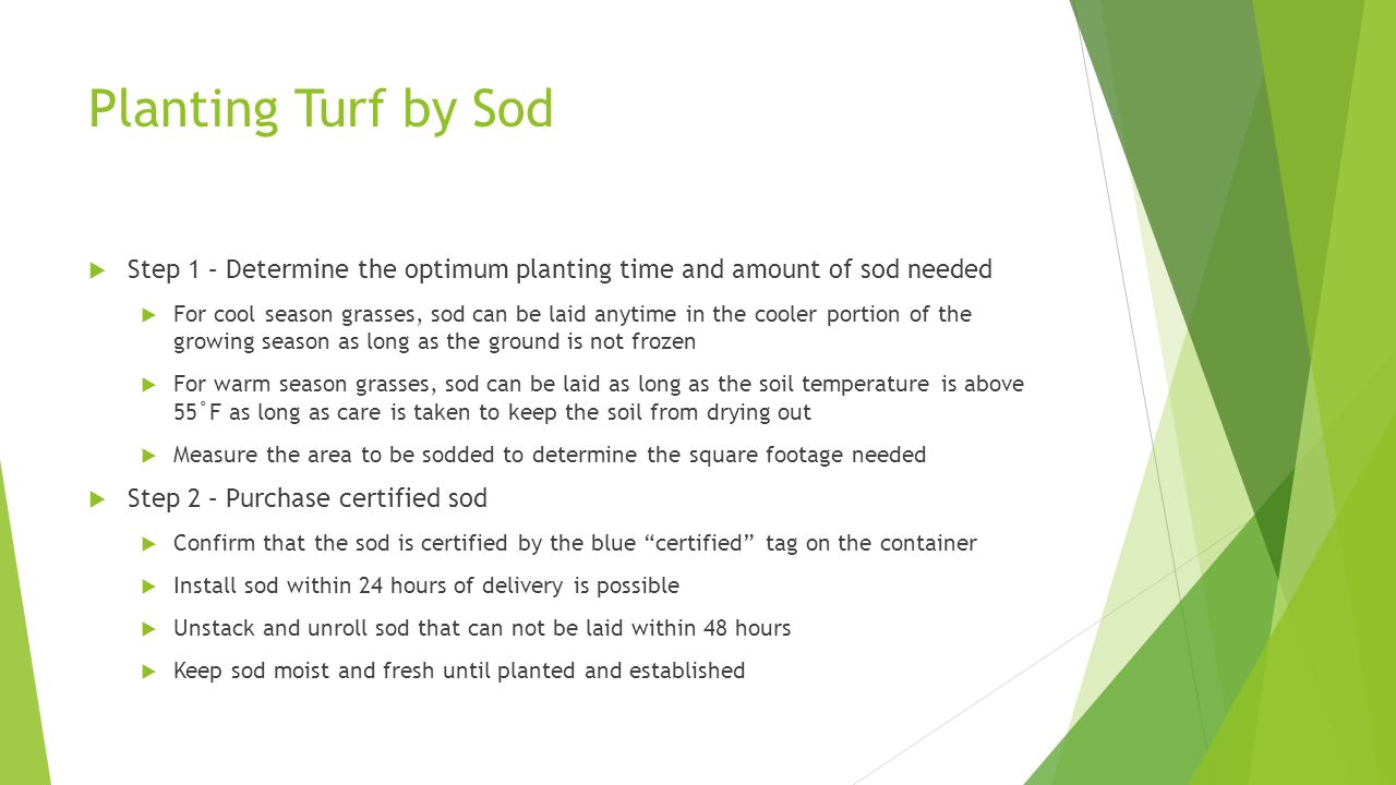 Planting Turf by Sod  Step 1 – Determine the optimum planting time and amount of sod needed  For cool season grasses, sod can be laid anytime in the cooler portion of the growing season as long as the ground is not frozen  For warm season grasses, sod can be laid as long as the soil temperature is above 55˚F as long as care is taken to keep the soil from drying out  Measure the area to be sodded to determine the square footage needed  Step 2 – Purchase certified sod  Confirm that the sod is certified by the blue certified tag on the container  Install sod within 24 hours of delivery is possible  Unstack and unroll sod that can not be laid within 48 hours  Keep sod moist and fresh until planted and established