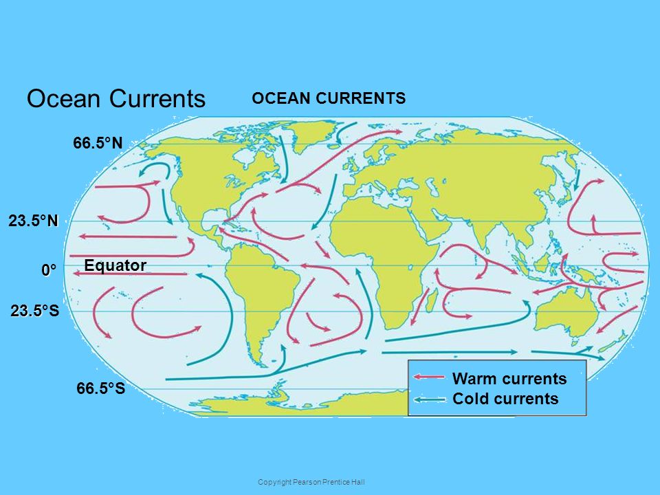 Slide 1 of 21 Ecology is the scientific study of interactions among ...