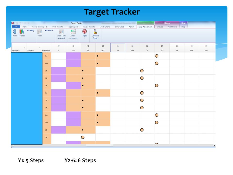 Target Tracker Y1: 5 StepsY2-6: 6 Steps