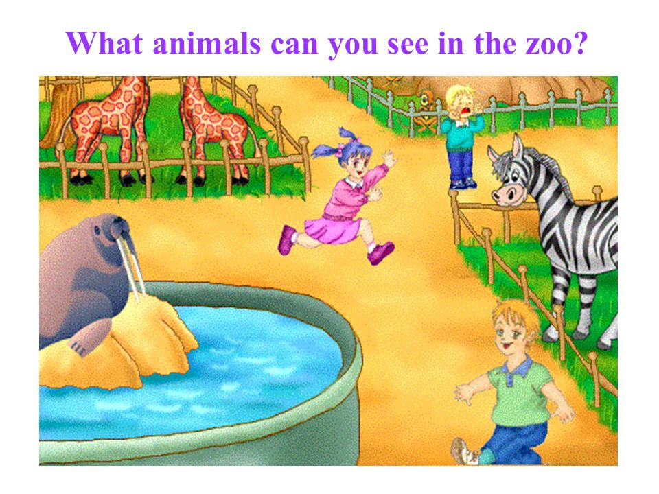 Section A What animals can you see in the zoo? He's  eats meat. He  is a ______. tiger She likes eating bamboo. She is a ______. She is kind. -  ppt