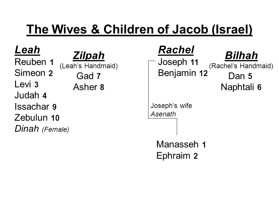The Wives & Children of Jacob (Israel) Leah Rachel Bilhah (Rachel's  Handmaid) Zilpah (Leah's Handmaid) Joseph's wife Asenath Reuben1 2Simeon  3Levi 4Judah. - ppt download