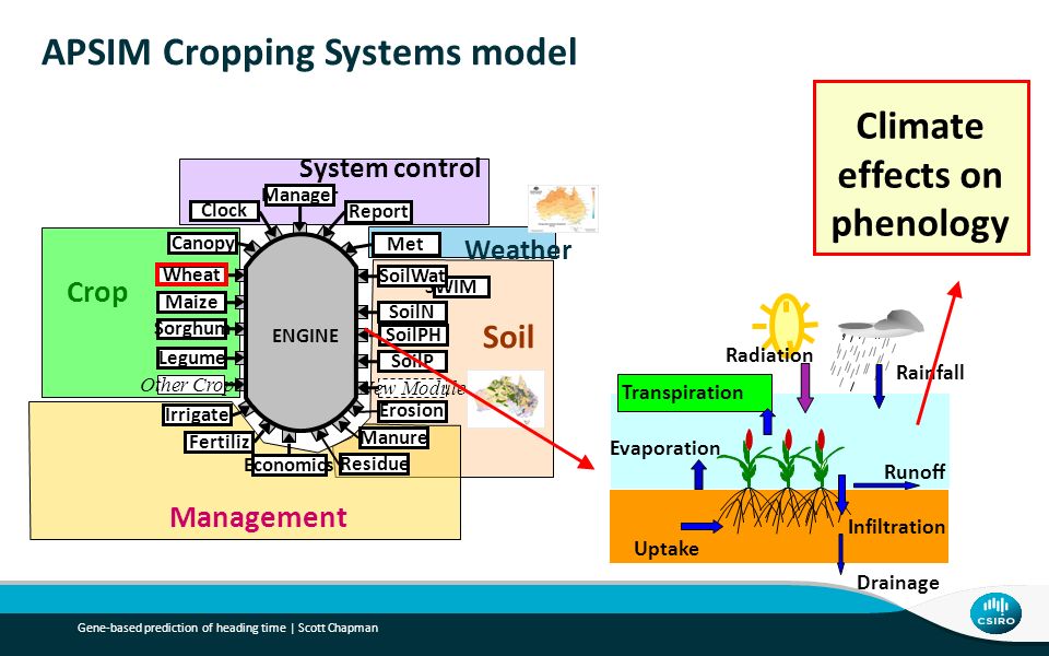 Gene Based Prediction Of Heading Time To Target Real Time - 